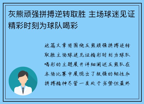 灰熊顽强拼搏逆转取胜 主场球迷见证精彩时刻为球队喝彩